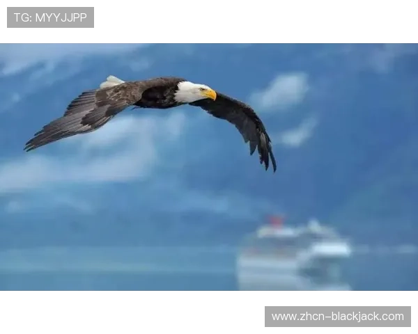 二十一点游戏中的心理战术与玩家心理分析,掌握心理优势赢得更多胜利